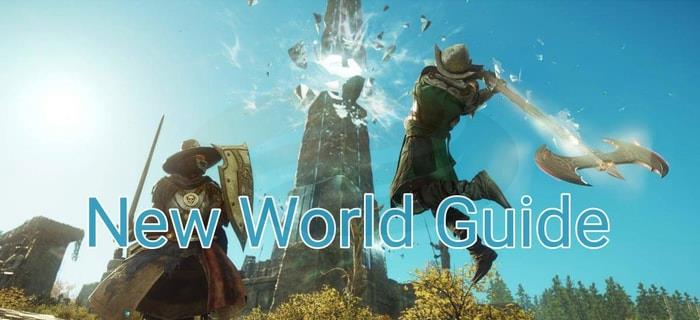 New World Return Player's Guide